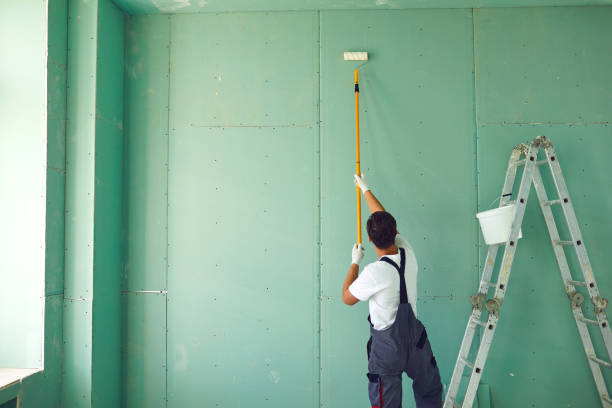 Best Mold Odor Removal Services  in Mapleton, IA