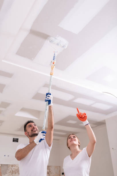 Best Basement Mold Removal  in Mapleton, IA