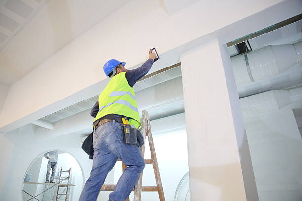 Best Industrial Mold Remediation  in Mapleton, IA