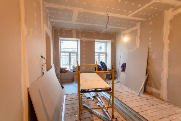 Best Environmental Consulting for Mold Prevention  in Mapleton, IA