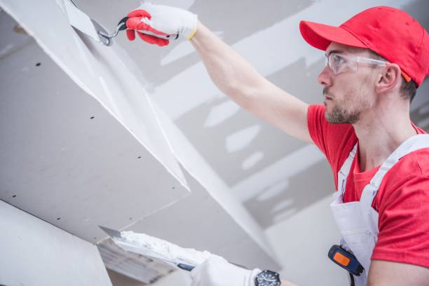 Best Comprehensive Air Testing for Mold Contaminants  in Mapleton, IA
