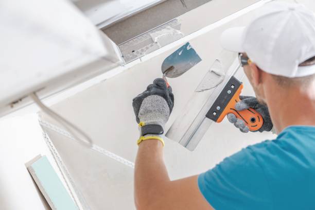 Best Mold Documentation for Insurance Claims  in Mapleton, IA